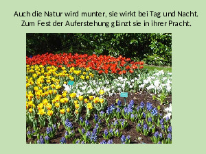 Zur-Fr�hlingsfeier.pps von Sirene