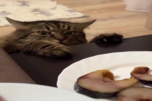 Diese genervte Blick