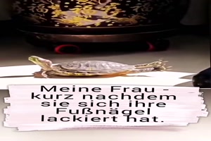 Nach-dem-N�gel-lackieren.mp4 von Nele68