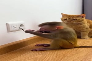 Nicht-erschrecken....mp4 von helvis