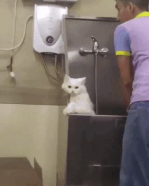 Sehr-lieb.gif von Roger05