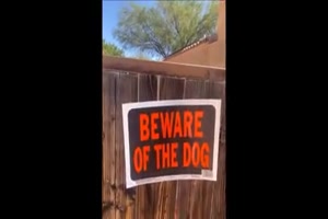 Was-f�r-ein-gef�hrlicher-Hund.mp4 von Lennox44