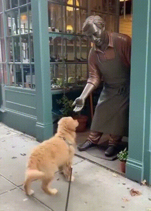 Der-Hund-freut-sich.gif von Leona