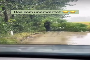 Das-kam-unerwartet.mp4 von Goldlocke