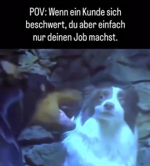 Immer-sch�n-ruhig-bleiben.mp4 von Goldlocke