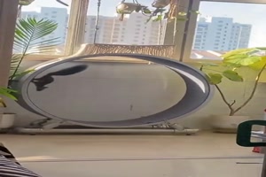 Es-l�uft-einfach-die-komplette-Runde.mp4 von Goldlocke