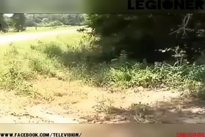 es-passiert-im-Hintergrund.mp4 von Lennox44