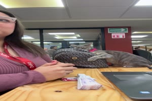 Pfoten weg von dem Rucksack