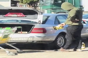 Neue-Art-der-Tankbef�llung.mp4 von Felia-51