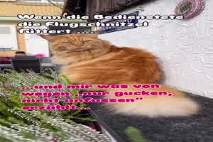 Das-geht-nat�rlich-gar-nicht.mp4 von Roger05