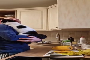 Was-f�r-eine-liebe-Katze.mp4 von Brenda22