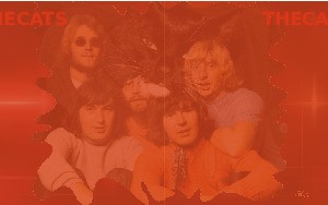 Jukebox-The-Cats.ppsx von kathi