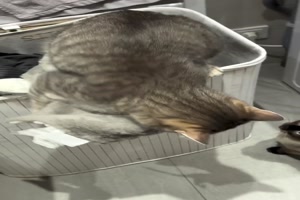 Nicht die Lieblingsdecke