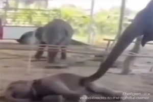 Hey-Faulpelz-steh-auf.mp4 von Justus2002