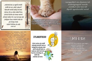 . auf www.funpot.net