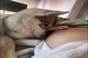 Was-f�r-ein-lieber-Hund.mp4 von Leona