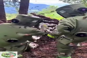 Da-ist-was-los.mp4 von Nele68