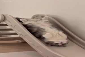 Gem�tliches-Rutschen.mp4 von Leif