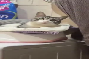 Scheint Spa� zu machen