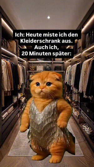Wenn-du-den-Kleiderschrank-ausmistest.gif von Leona