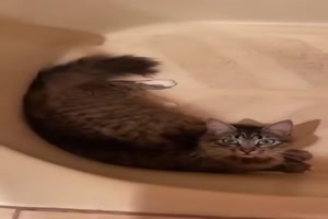 Trau-dich.mp4 von Queen92