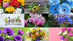 Flowers-28.ppsx von Dorota