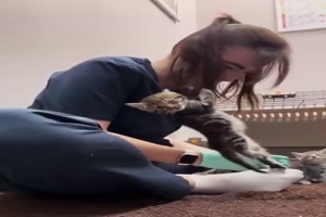 Sie-hat-es-nicht-leicht.mp4 von Schwesterchen