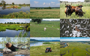 Nationalpark-Unteres-Odertal.ppsx von regulus