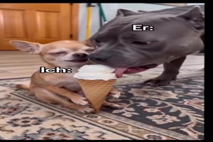 Gute-Entscheidung-nichts-zu-teilen.mp4 von Brenda22