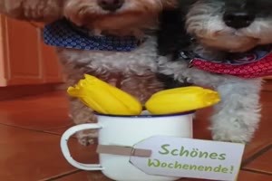 sch�nes Wochenende