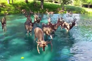 Sehr-sch�ner-Ort.mp4 von Artist