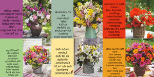 Spr�che,-Spr�che,-Spr�che-44.pps von Sirene