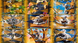 Koala-NEU.pps auf www.funpot.net