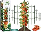 Tomatenpflanzenst&uuml;tze!