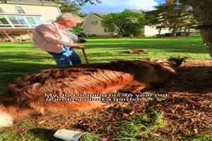 Tierischer-Gartenhelfer.mp4 von Annelie-68