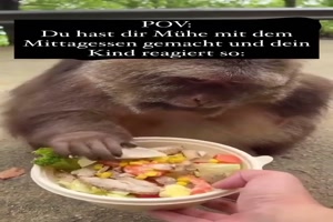 Kinder sind so dankbar