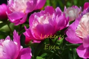Ein sch�nes Pfingst-Wochenende