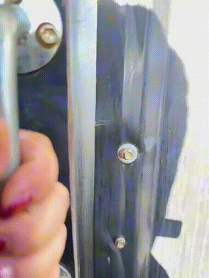 Kuckuck.gif von Leif