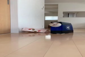 Katze-liebt-Papiert�ten.mp4 von Leona