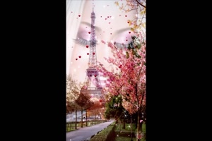 Bonjour.mp4 von Artist