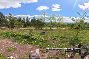 Und-pl�tzlich-war-da-ein-B�r.mp4 von Nele68