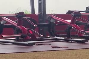 Im-Fitness-Studio.mp4 von Schwesterchen
