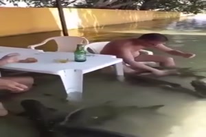 Besuch-von-den-Fischen.mp4 von Brandon