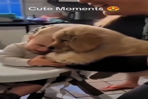 Kinder-und-Hunde.mp4 von Brandon