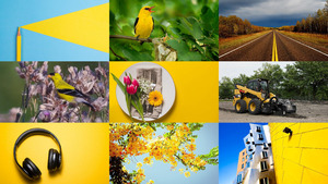 Yellow-12.ppsx von Dorota