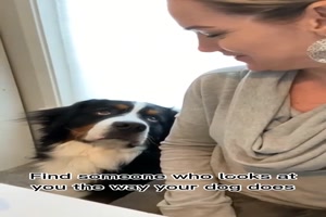 Finde-Jemanden,-der-dich-so-ansieht-wie-dein-Hund.mp4 von Matilda
