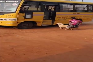 Hund-bringt-Kind-zum-Schulbus.mp4 von Erwin32