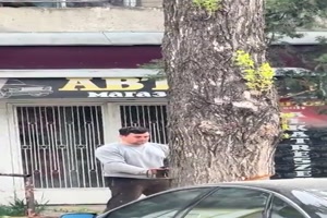 Baum-f�llt.mp4 von Leif