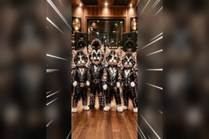 Kiss-Cat-Band.mp4 von Artist