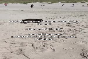 So-nicht-Fr�ulein.mp4 von Justus2002